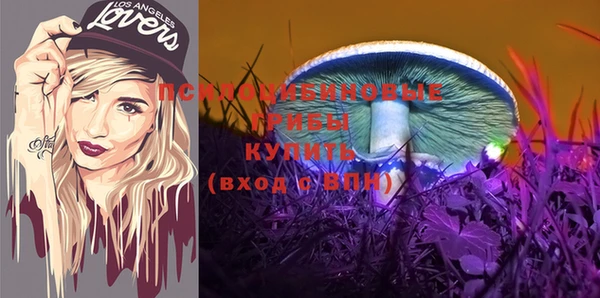 бутират Надым