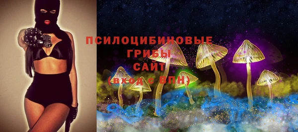бутират Надым