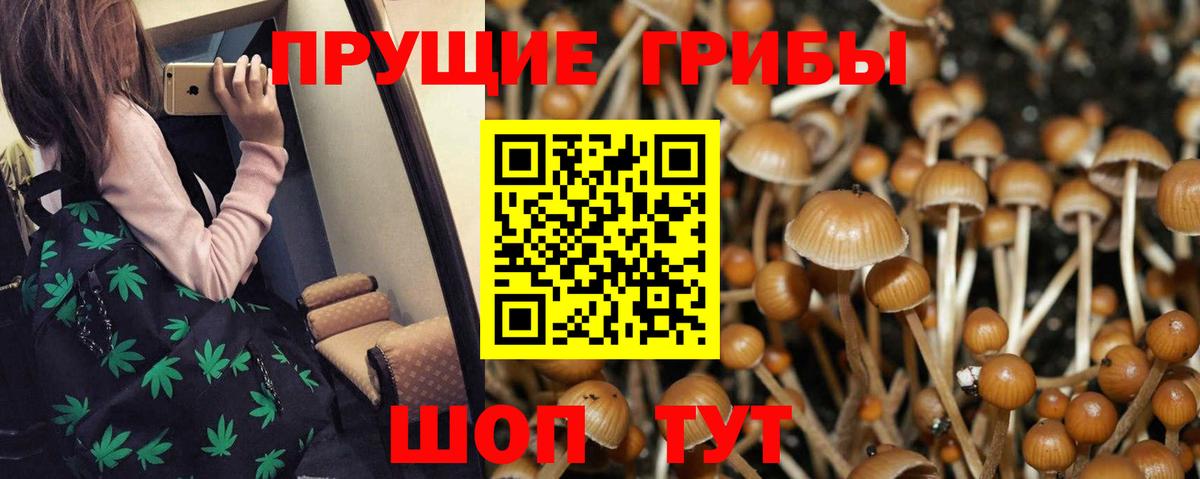 Апрелевка  Псилоцибиновые грибы Magic Shrooms  Галлюциногенные грибы Cubensis  Вход с VPN 